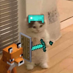 Meet your Posher, Max